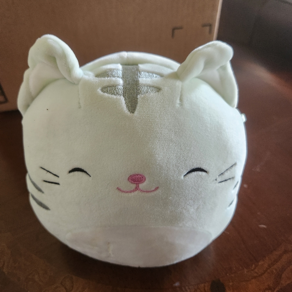 Squishmallows Cat "Chase"